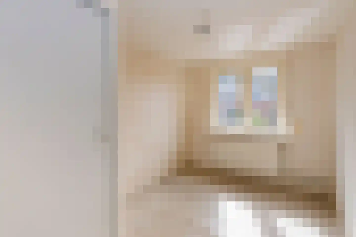 Hellebaardstraat 8 Tilburg thumbnail 17