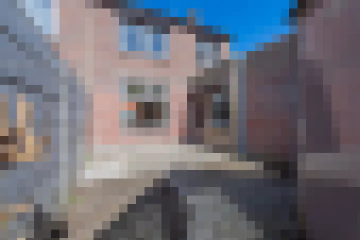 Hellebaardstraat 8 Tilburg thumbnail 27