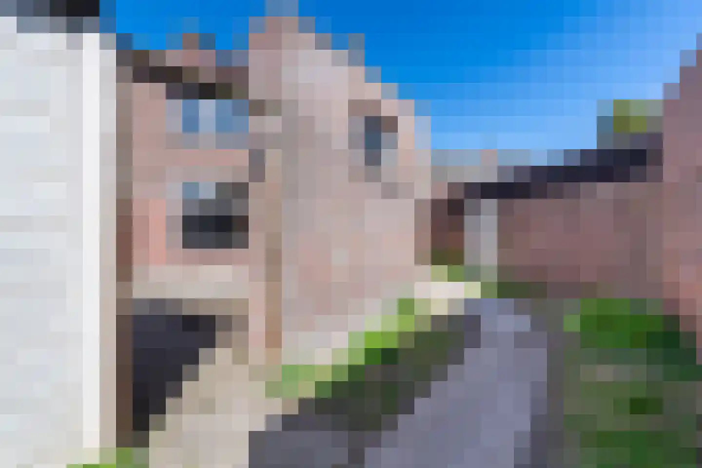 Hellebaardstraat 8 Tilburg thumbnail 29