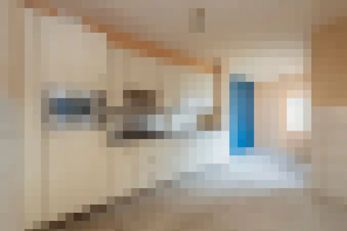 Hellebaardstraat 8 Tilburg thumbnail 6