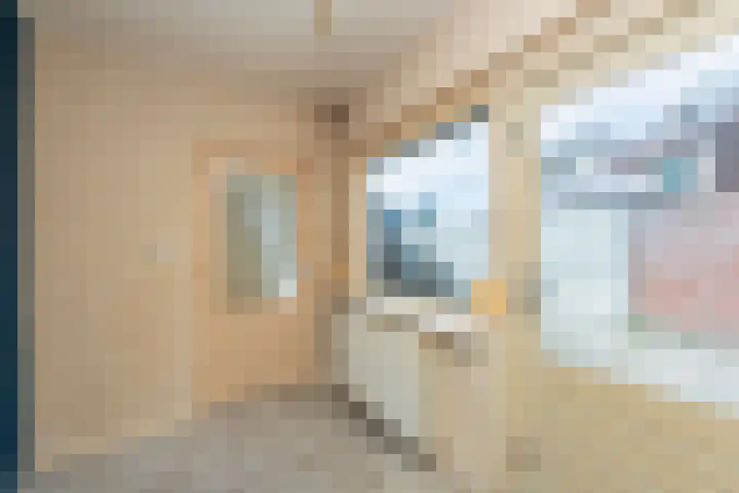 Hellebaardstraat 8 Tilburg thumbnail 8