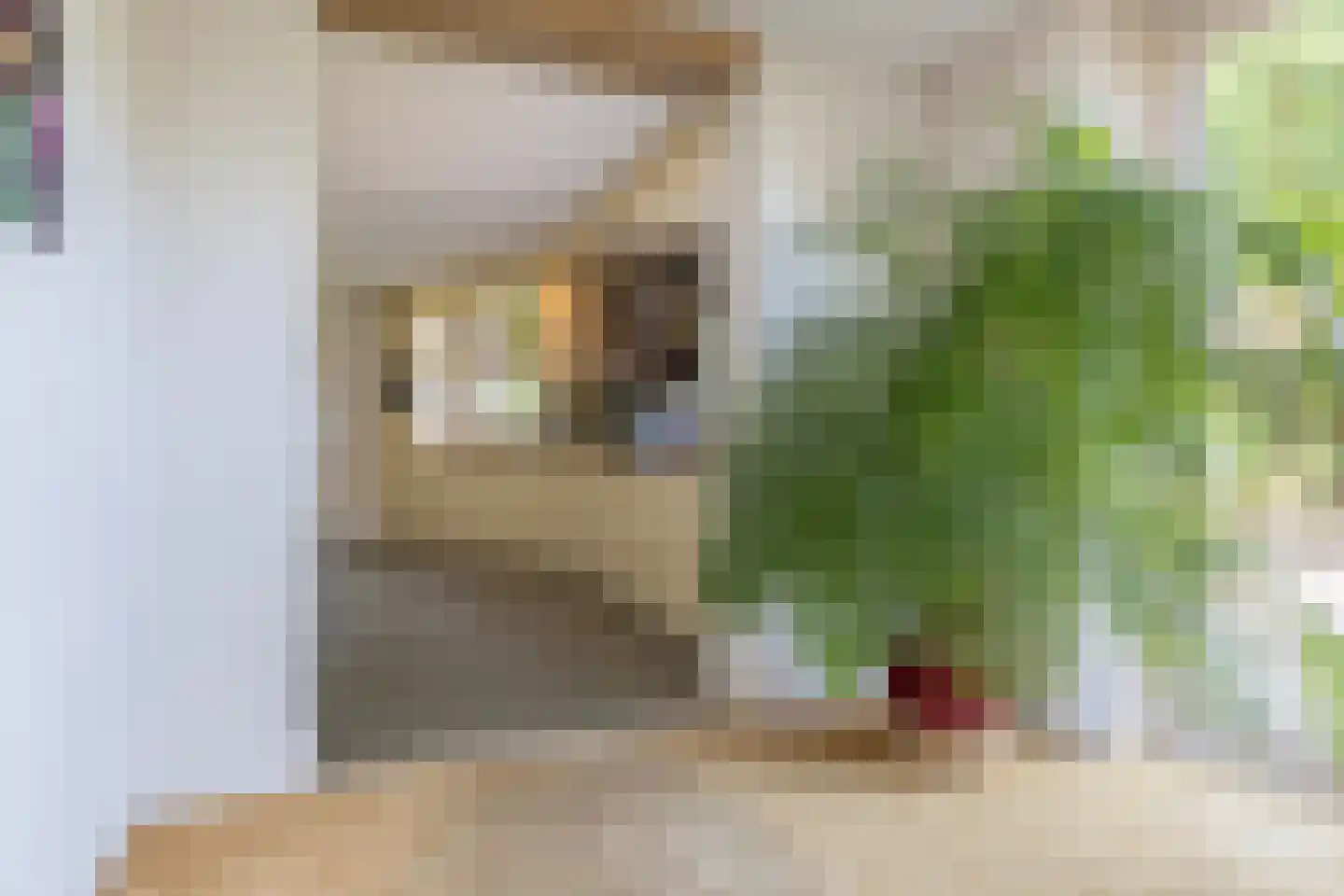 Helleberg 10 Veldhoven thumbnail 20