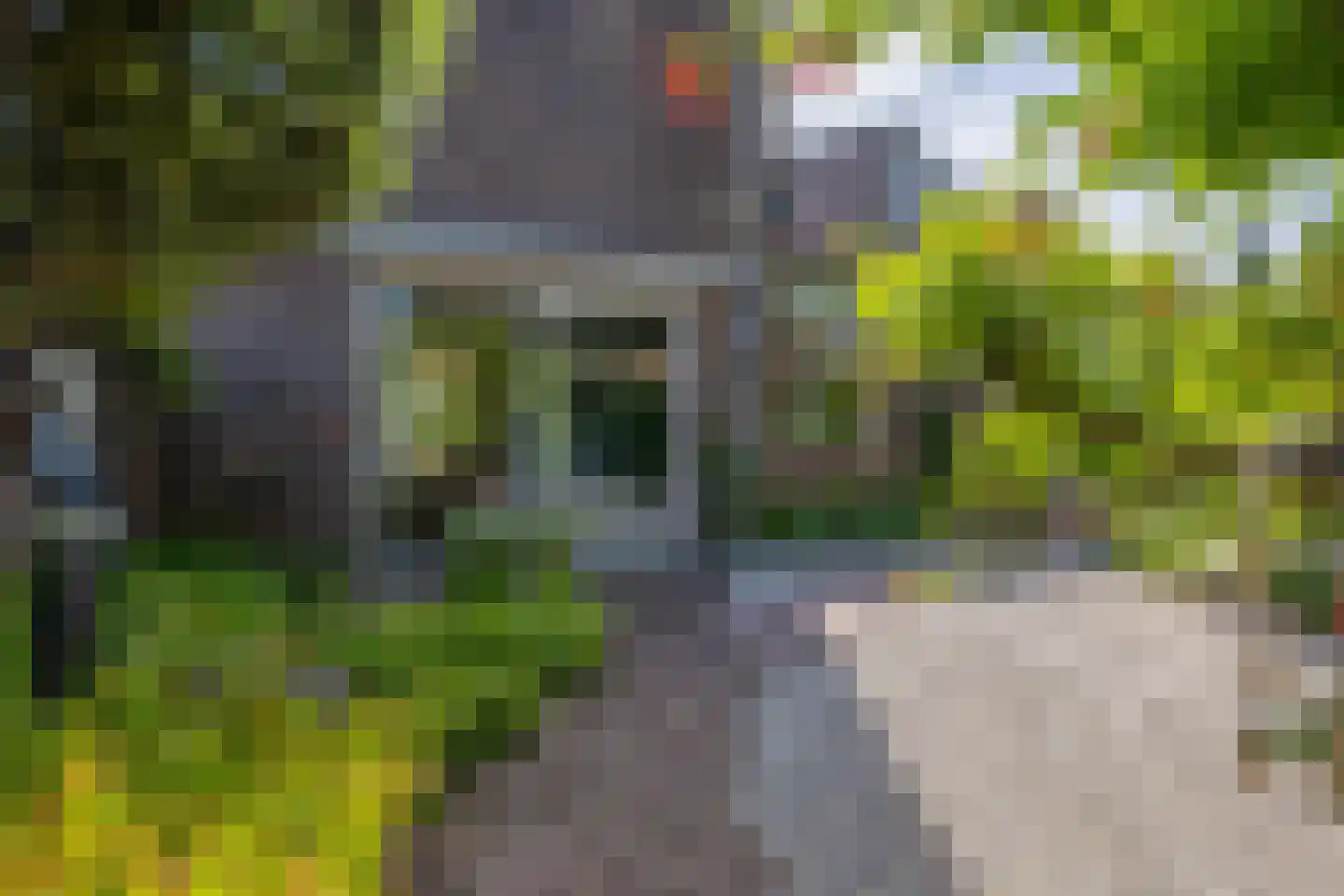 Helleberg 10 Veldhoven thumbnail 33