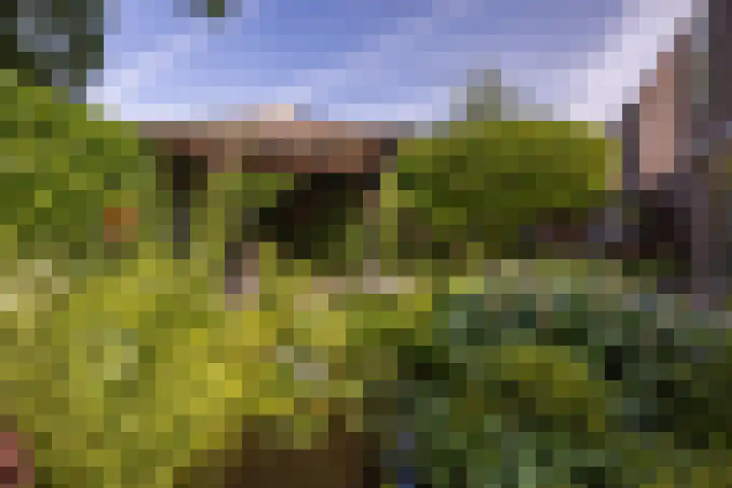 Helleberg 10 Veldhoven thumbnail 36