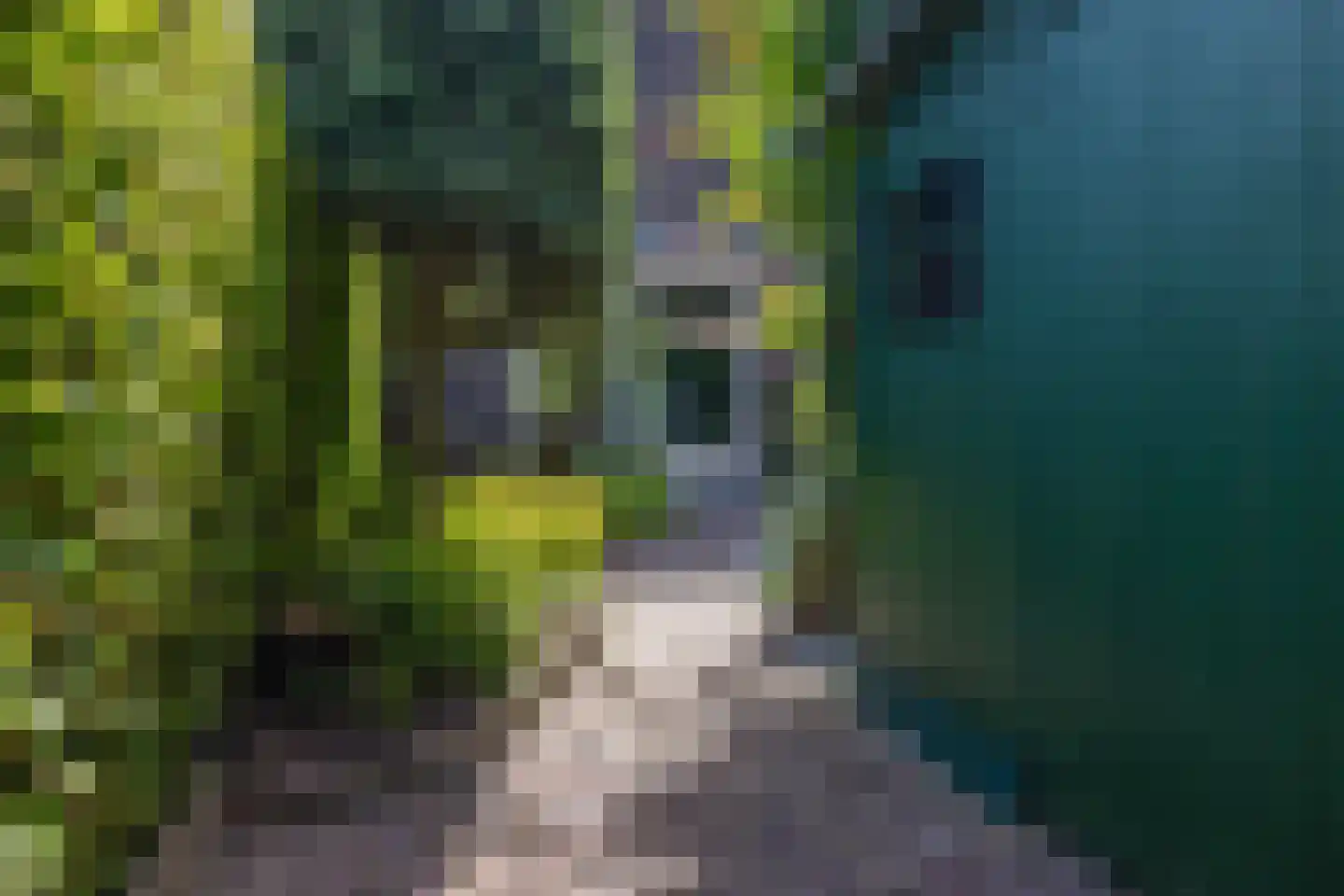 Helleberg 10 Veldhoven thumbnail 37