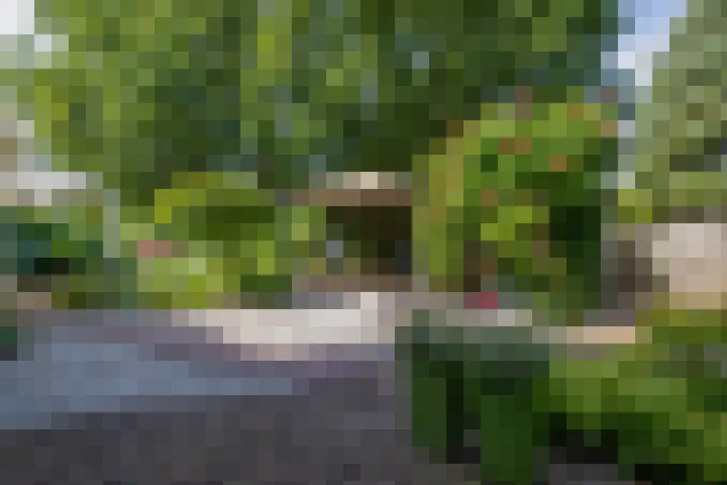 Helleberg 10 Veldhoven thumbnail 5