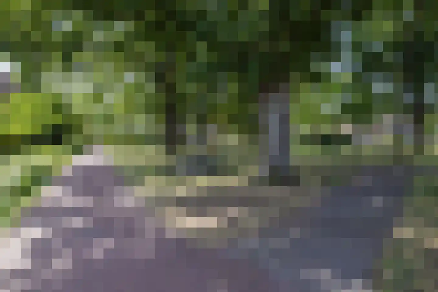 Helleberg 10 Veldhoven thumbnail 59