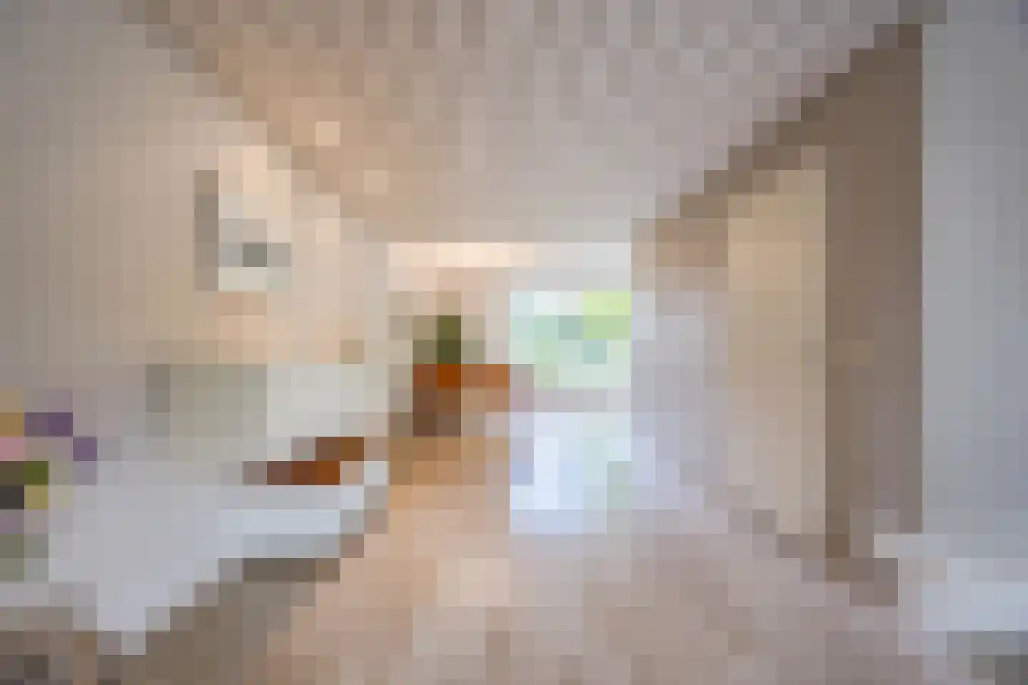 Helleberg 3 Veldhoven thumbnail 10
