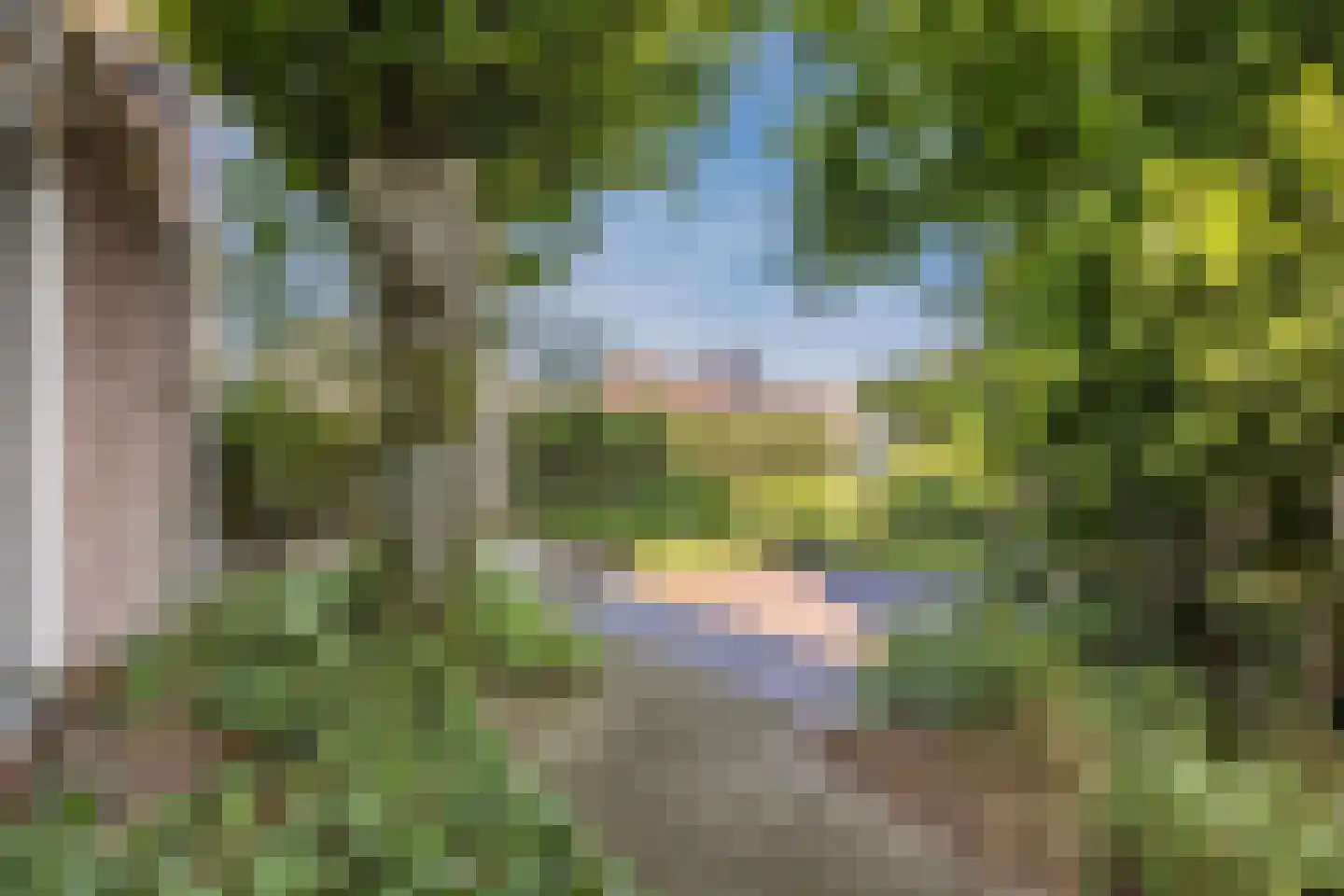 Helleberg 3 Veldhoven thumbnail 29