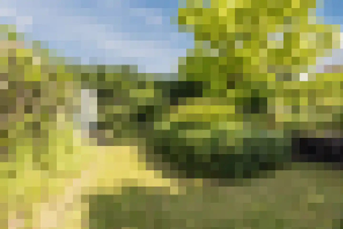 Helleberg 3 Veldhoven thumbnail 33