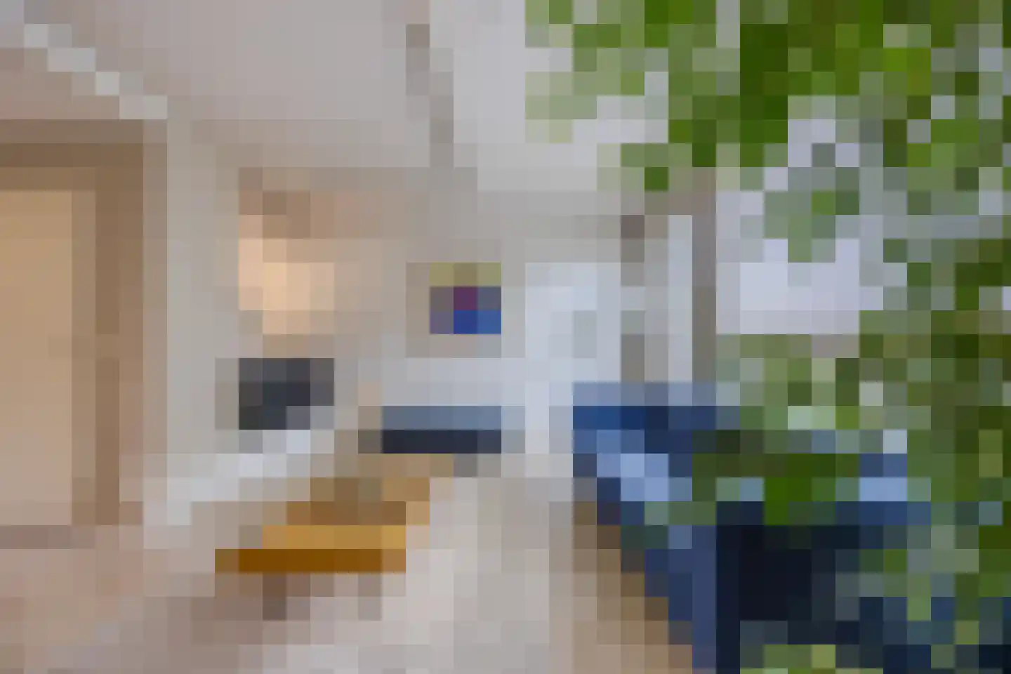 Helleberg 3 Veldhoven thumbnail 8