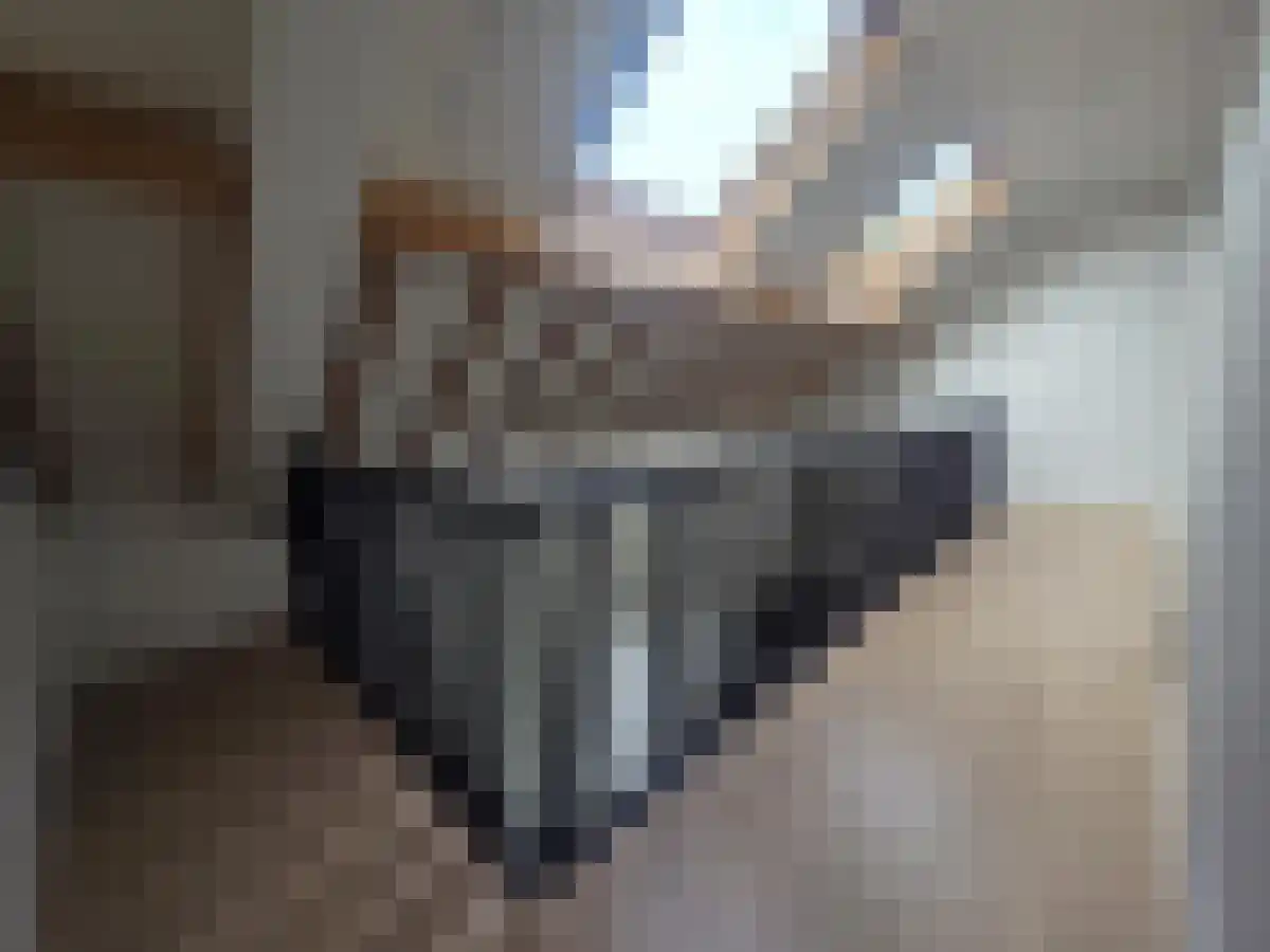 Hellebeukerweg 25 Klimmen thumbnail 5