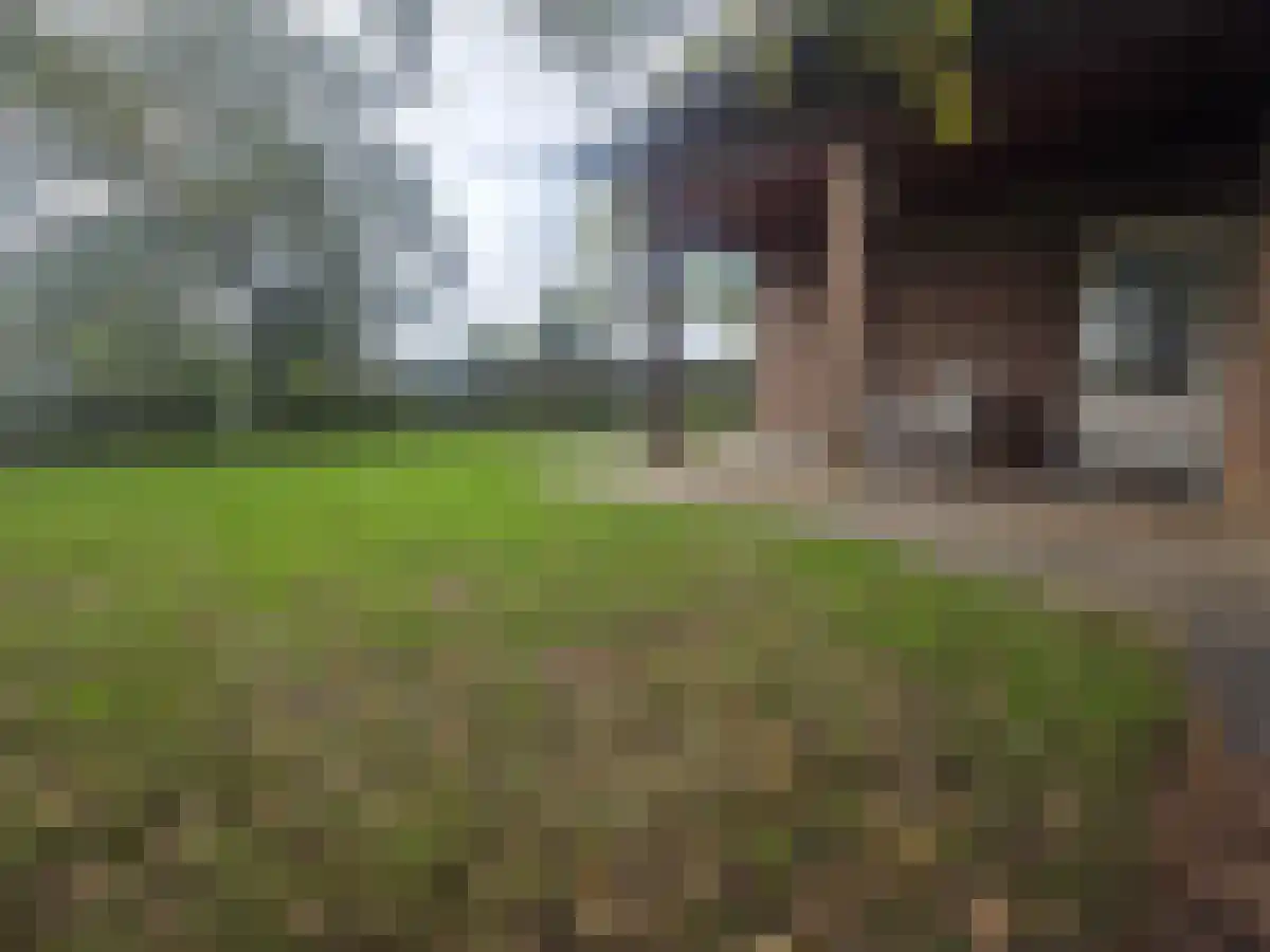 Hellebeukerweg 25 Klimmen thumbnail 6