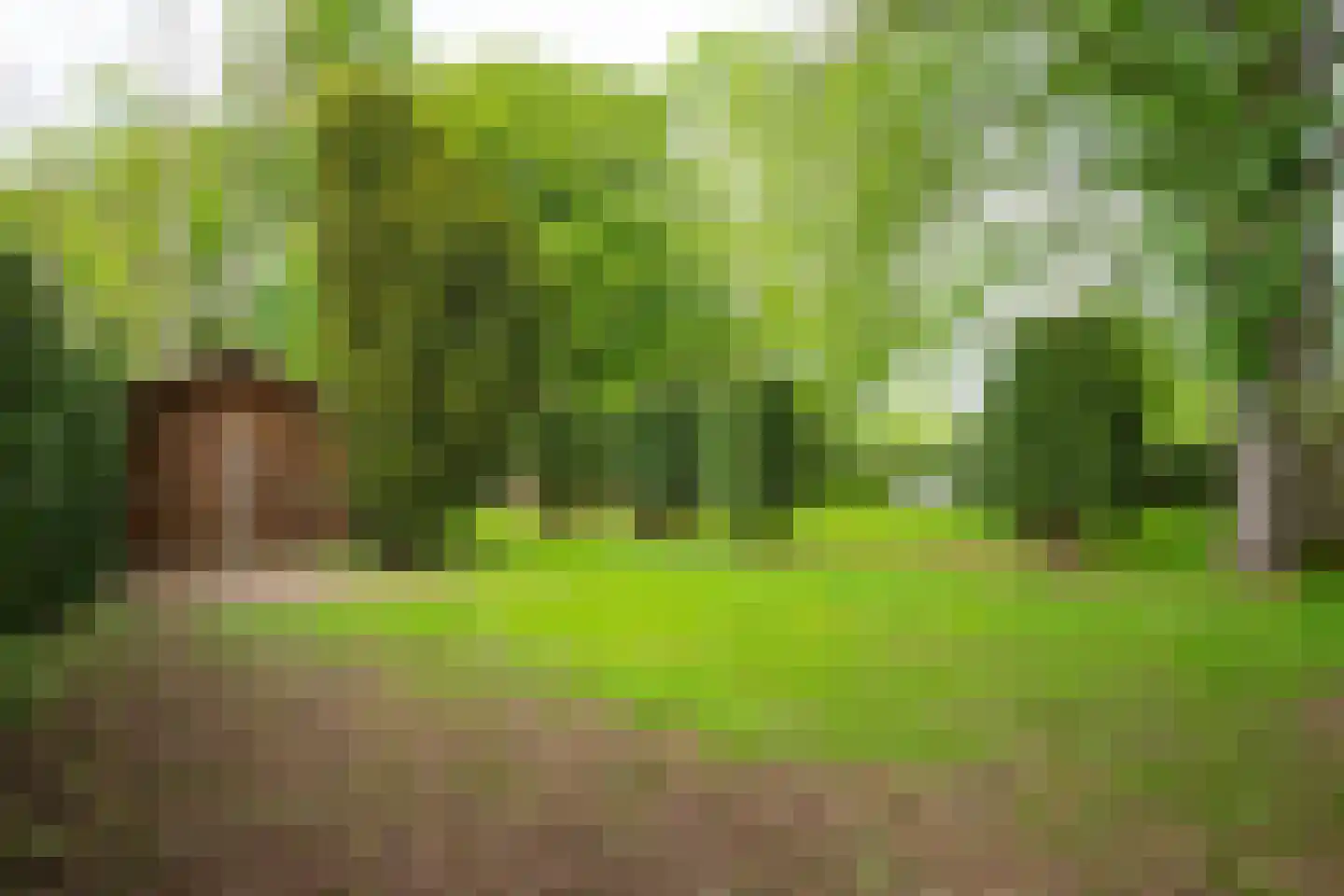 Hellebroek 49 Nuth thumbnail 25