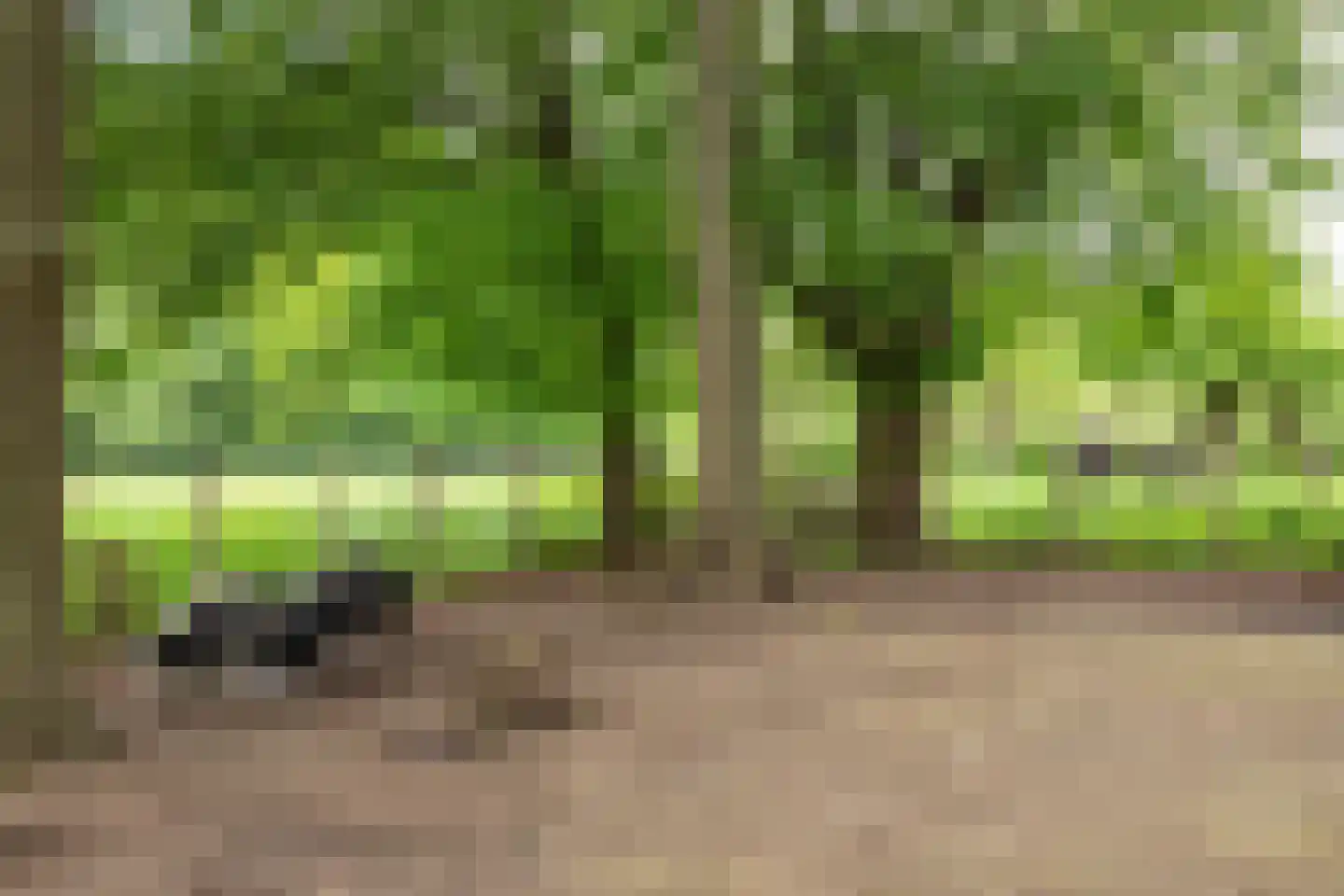 Hellebroek 49 Nuth thumbnail 26