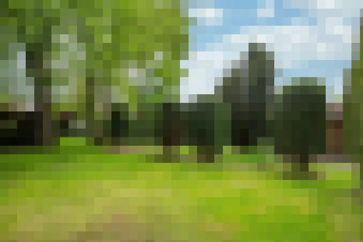 Hellebroek 49 Nuth thumbnail 27
