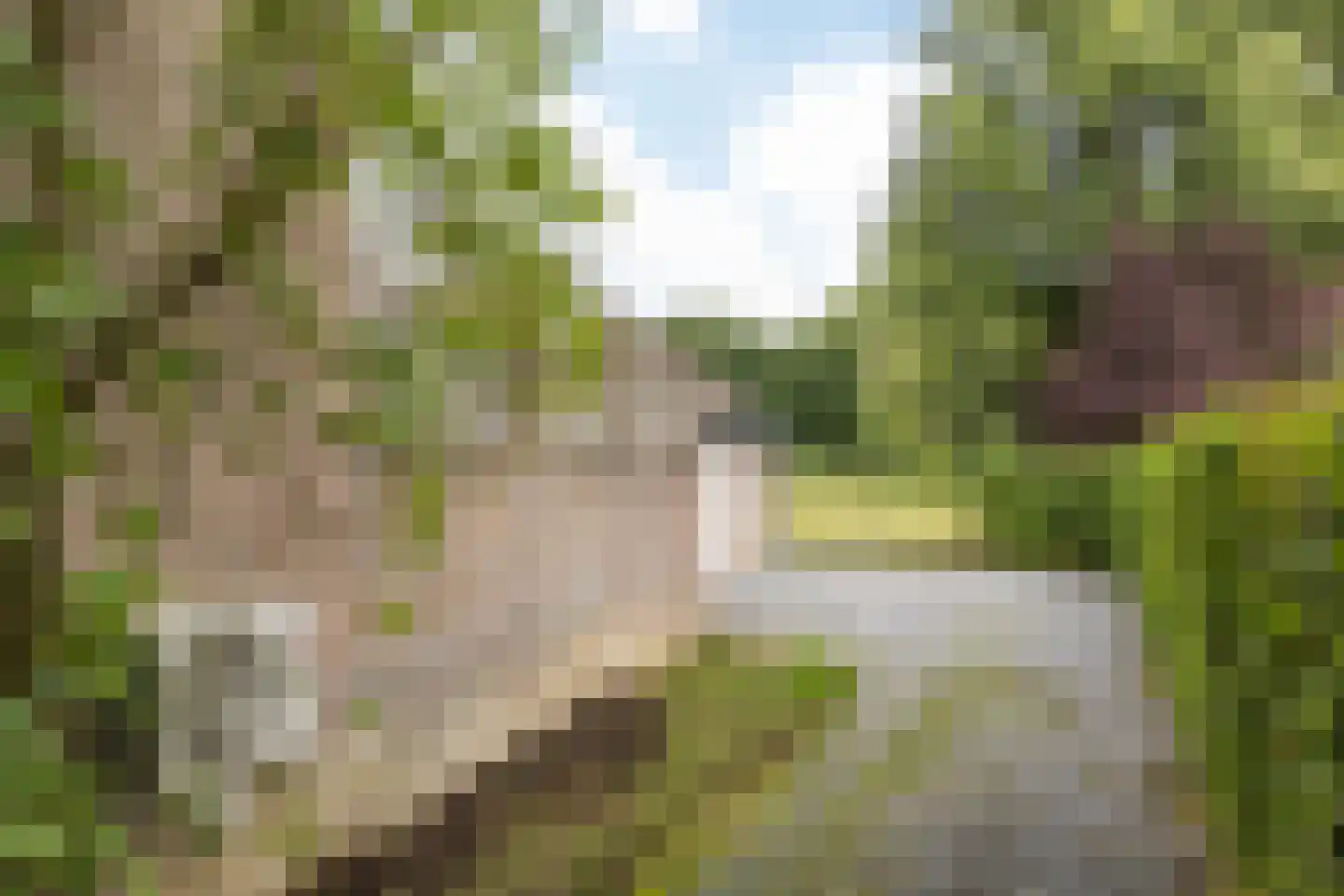Hellebroek 59 b Nuth thumbnail 33