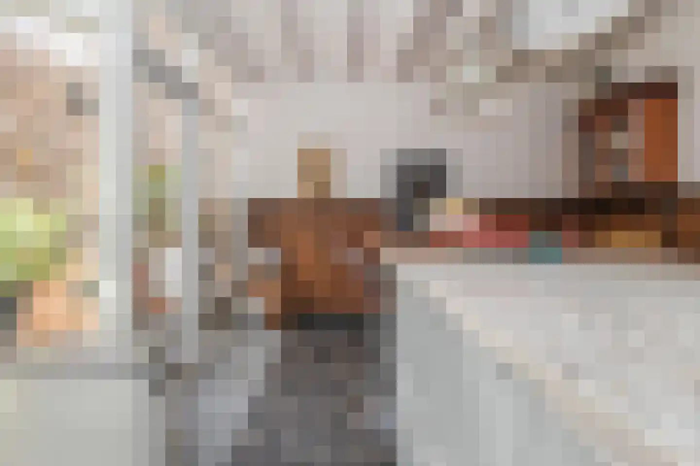 Hellebroek 67 Nuth thumbnail 17