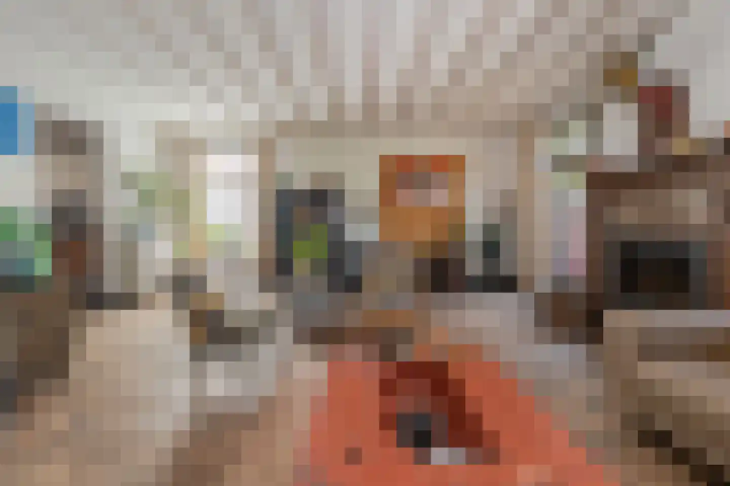 Hellebroek 67 Nuth thumbnail 4