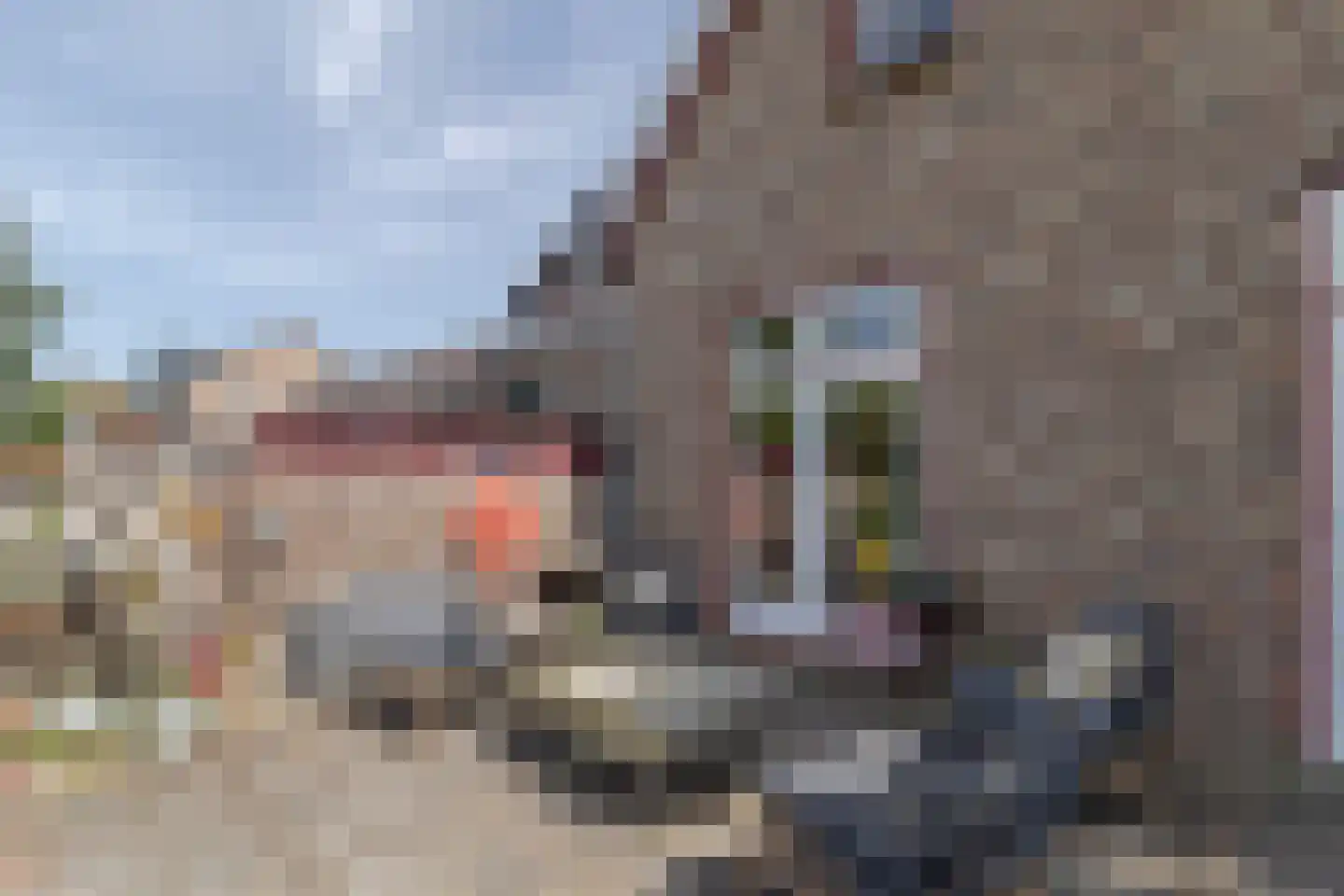 Hellebroek 67 Nuth thumbnail 42