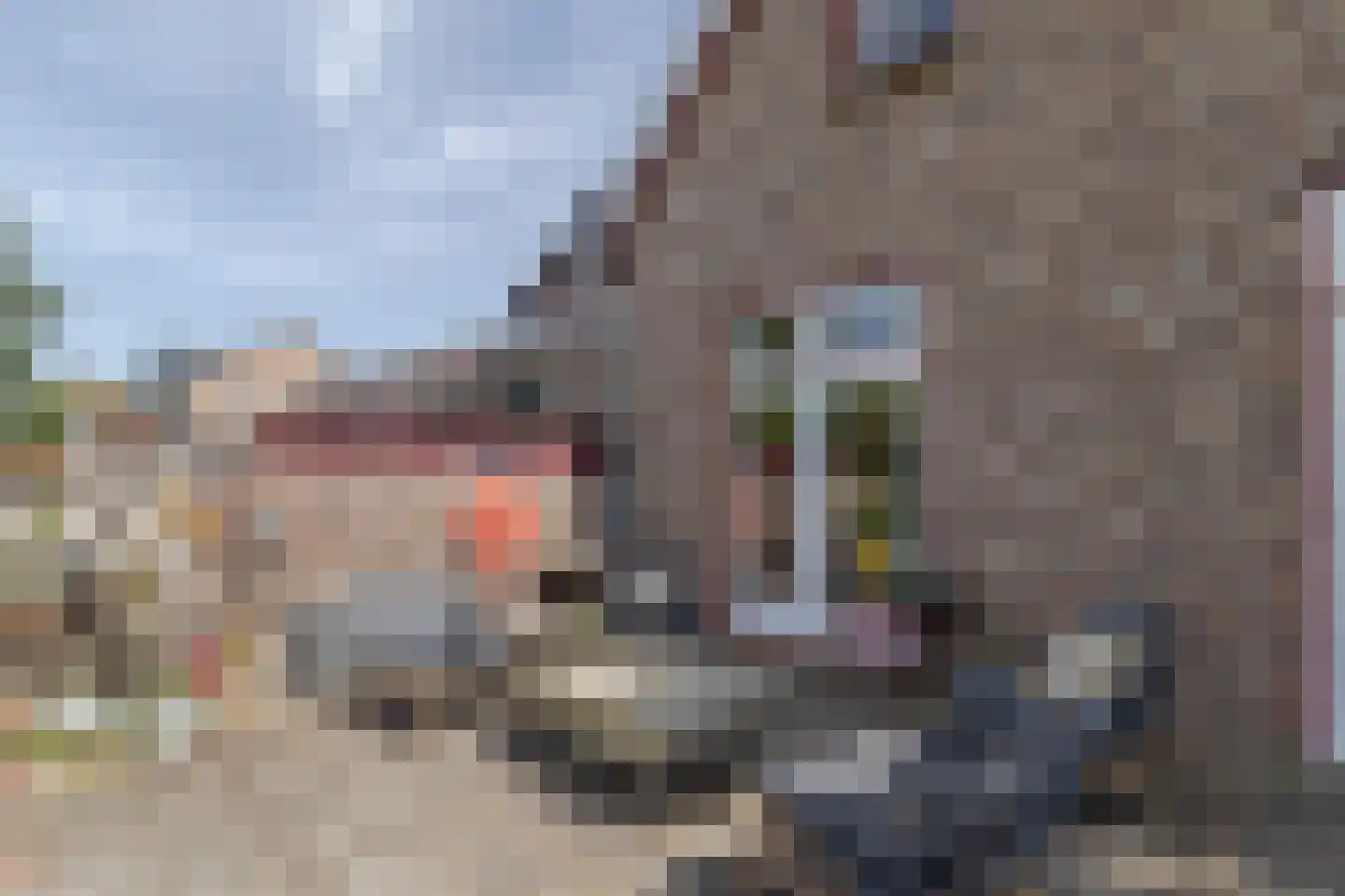 Hellebroek 67 Nuth thumbnail 42