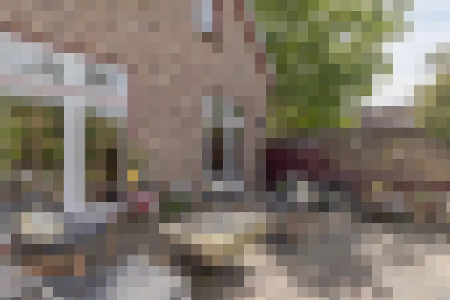 Hellebroek 67 Nuth thumbnail 43