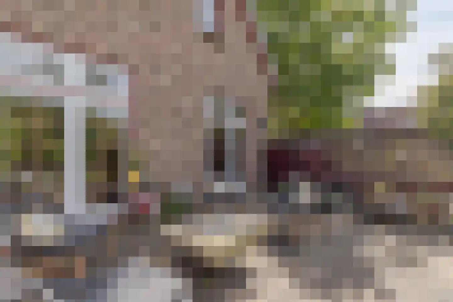 Hellebroek 67 Nuth thumbnail 43