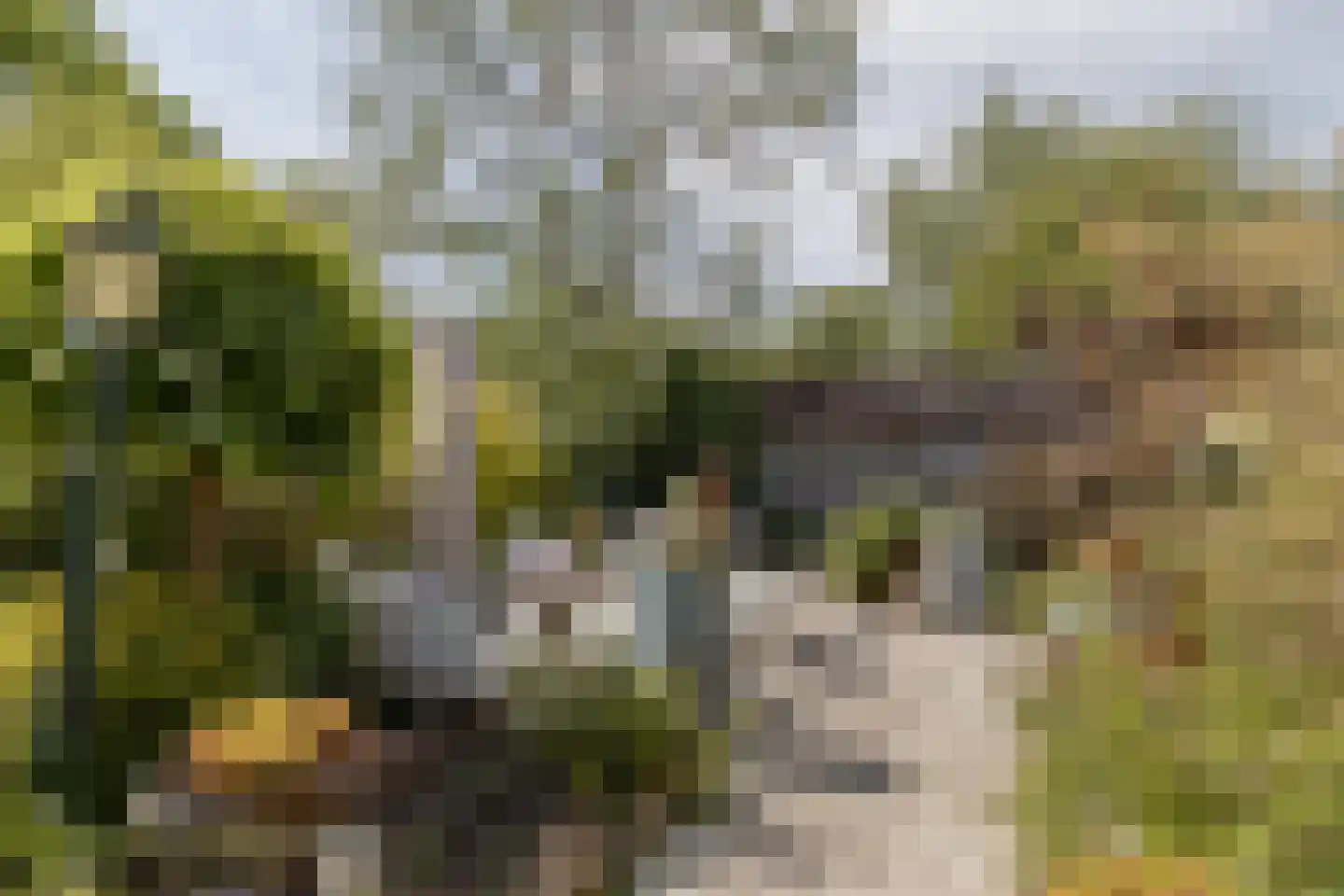 Hellebroek 67 Nuth thumbnail 45