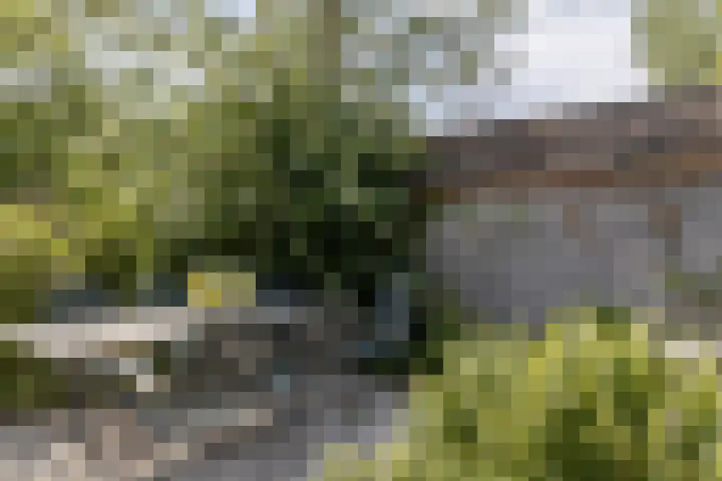 Hellebroek 67 Nuth thumbnail 46
