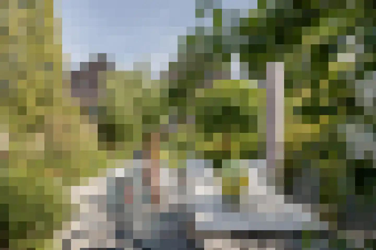 Hellebroek 67 Nuth thumbnail 47