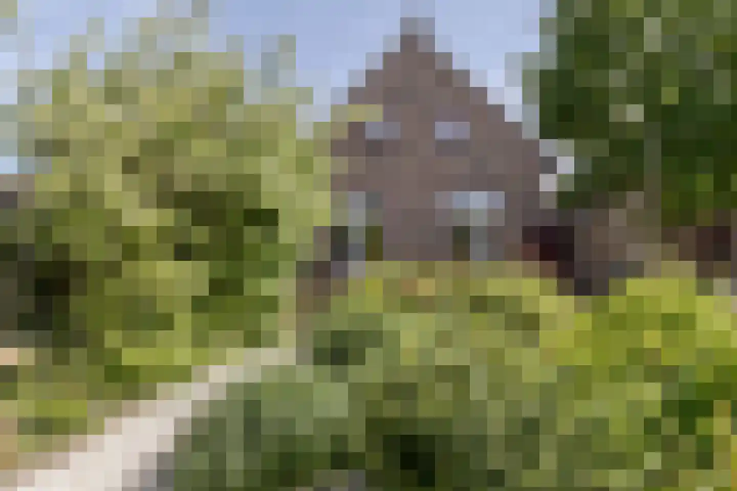 Hellebroek 67 Nuth thumbnail 49