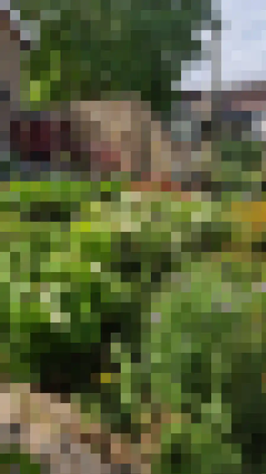 Hellebroek 67 Nuth thumbnail 54