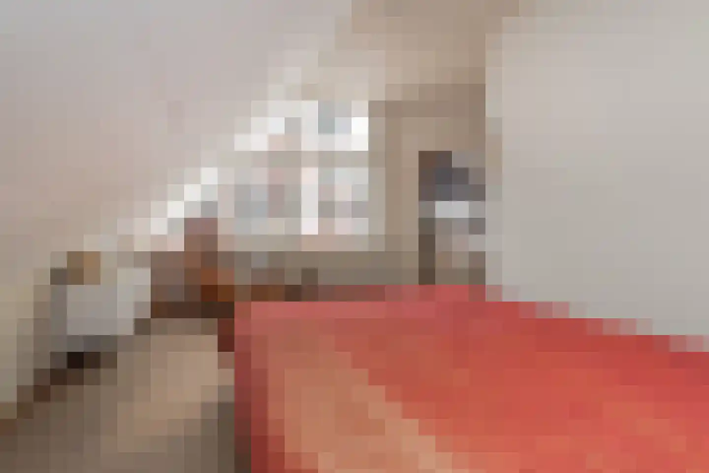 Hellebroek 67 Nuth thumbnail 6