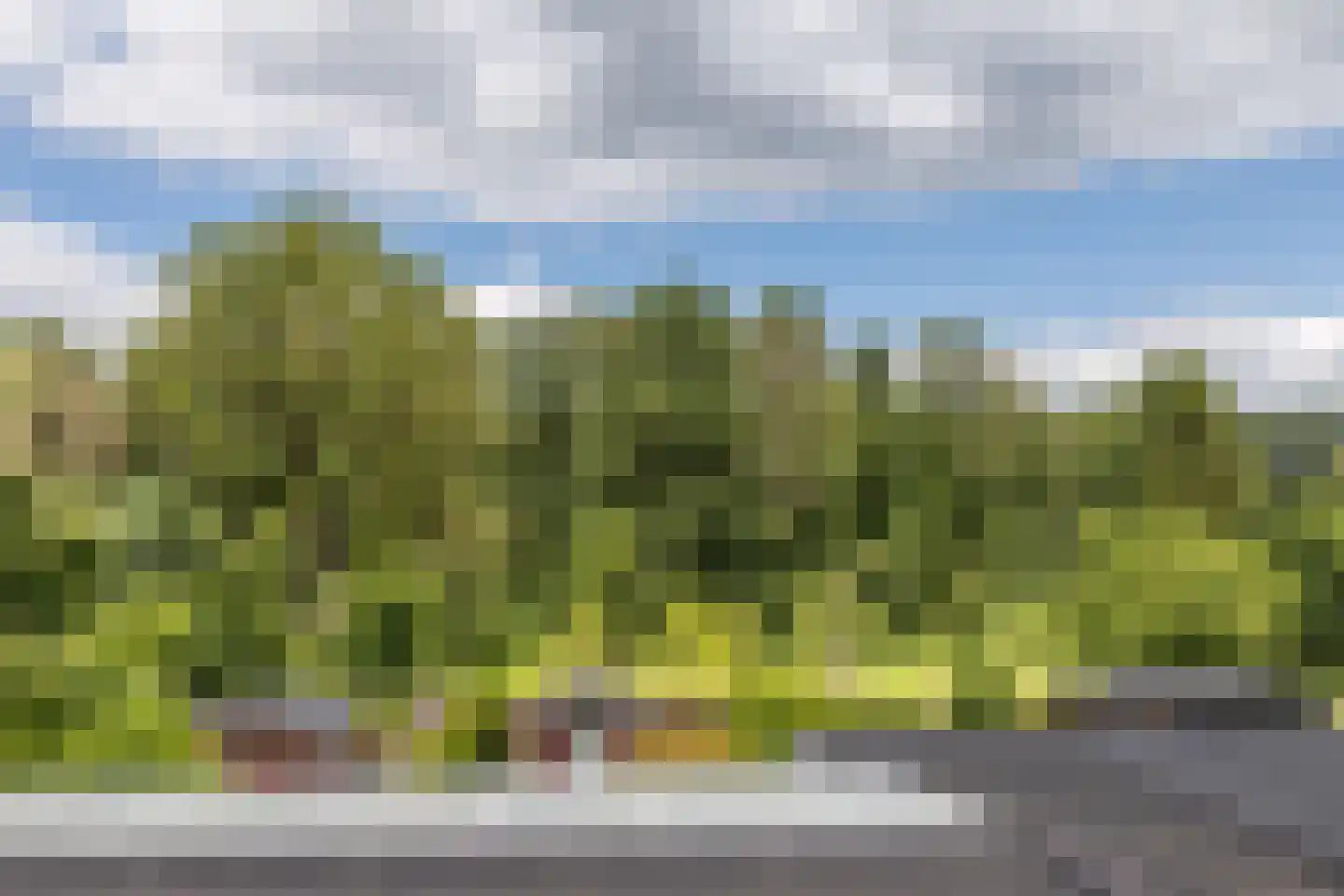 Hellebroek 77 Nuth thumbnail 22