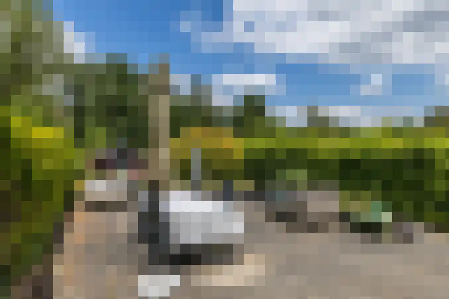 Hellebroek 77 Nuth thumbnail 30