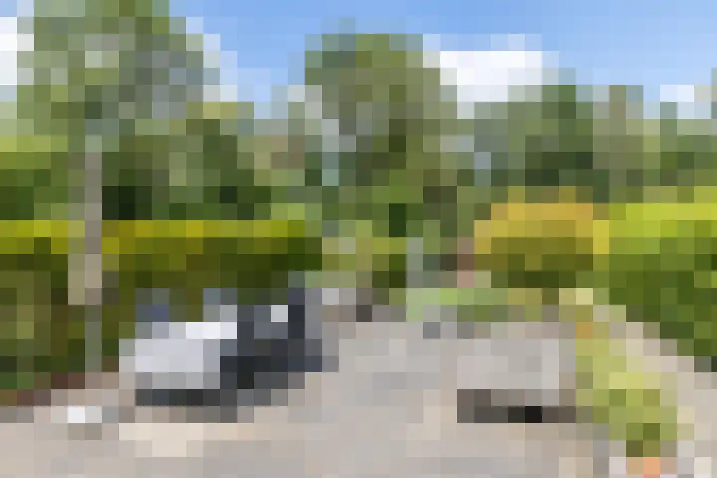 Hellebroek 77 Nuth thumbnail 31