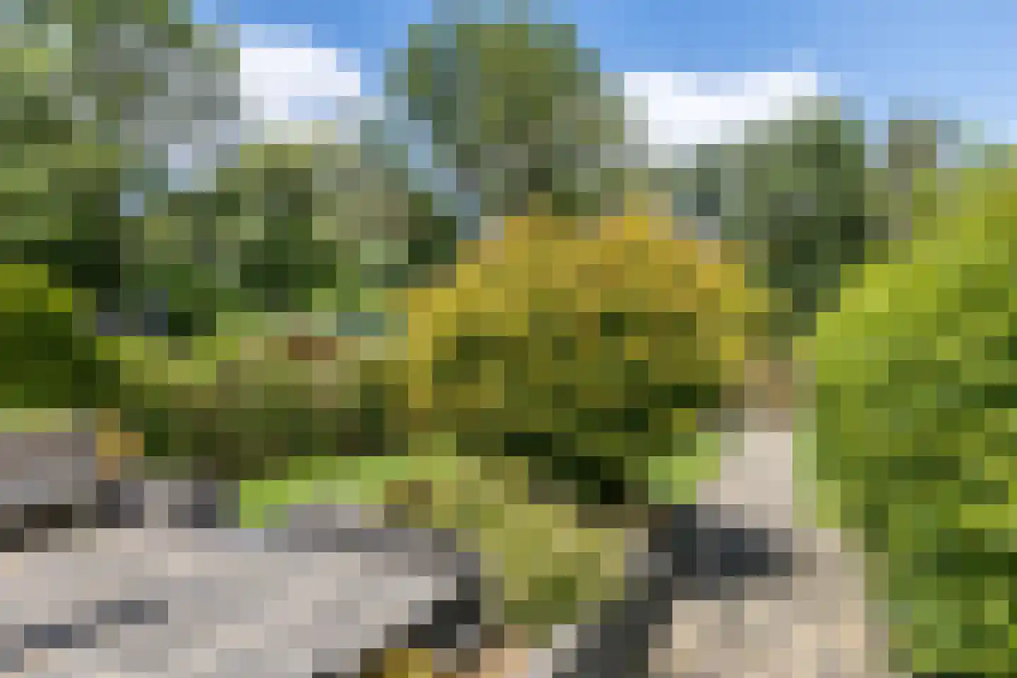 Hellebroek 77 Nuth thumbnail 32