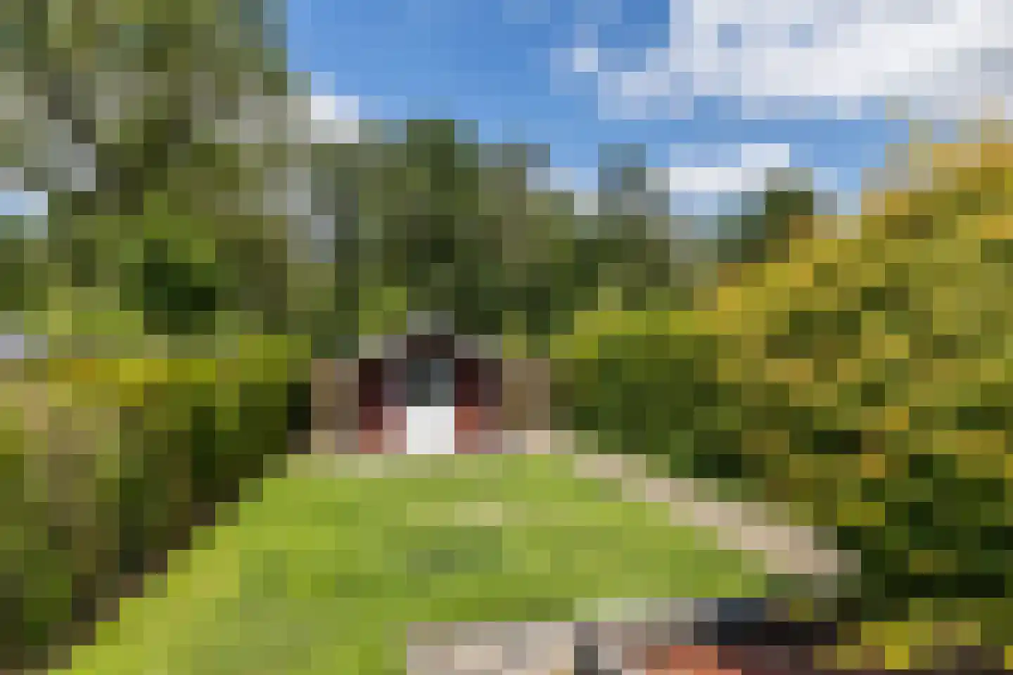 Hellebroek 77 Nuth thumbnail 33