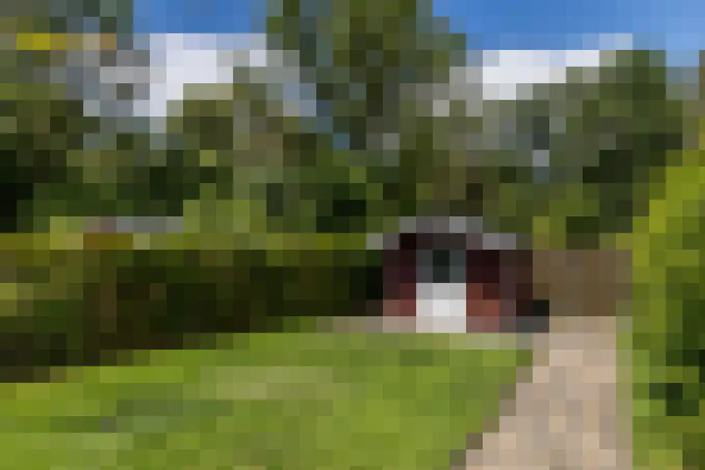 Hellebroek 77 Nuth thumbnail 34