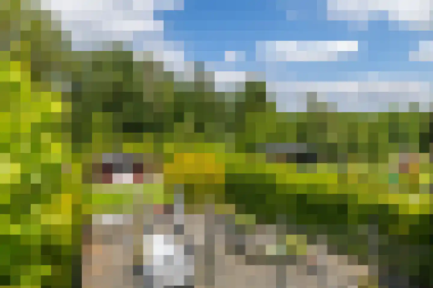 Hellebroek 77 Nuth thumbnail 35