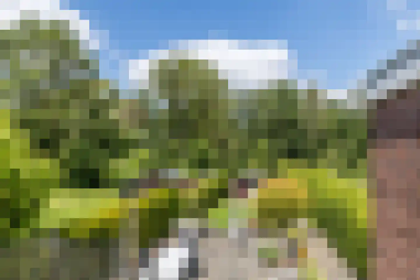 Hellebroek 77 Nuth thumbnail 36