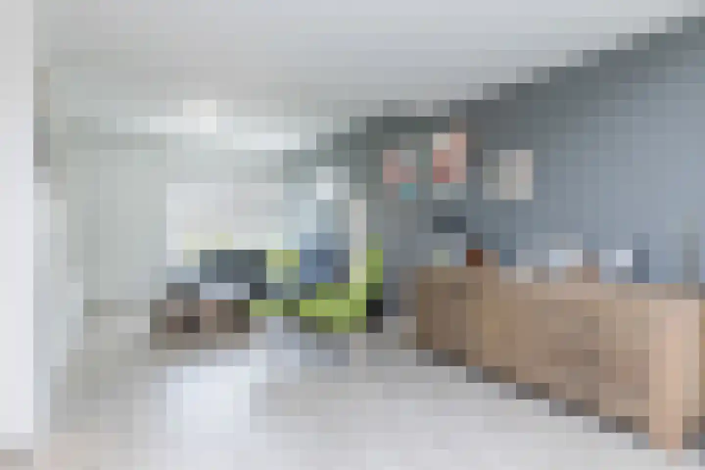 Hellebroek 77 Nuth thumbnail 4
