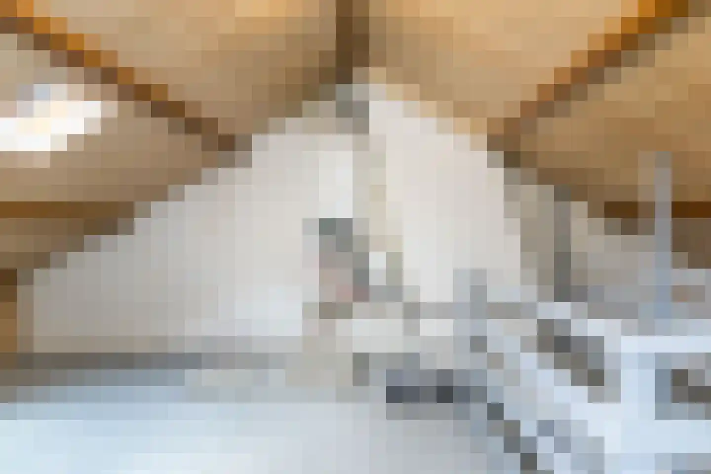 Hellebroek 89 Nuth thumbnail 23