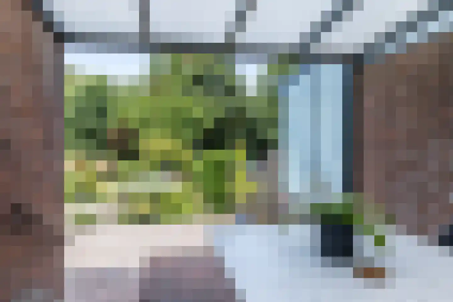 Hellebroek 89 Nuth thumbnail 25