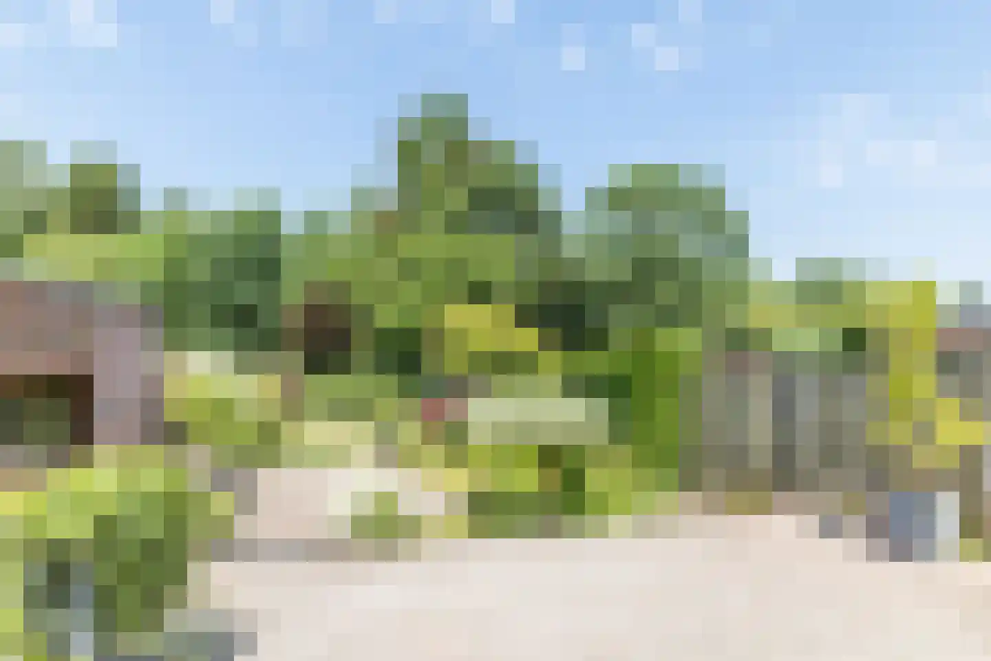 Hellebroek 89 Nuth thumbnail 27
