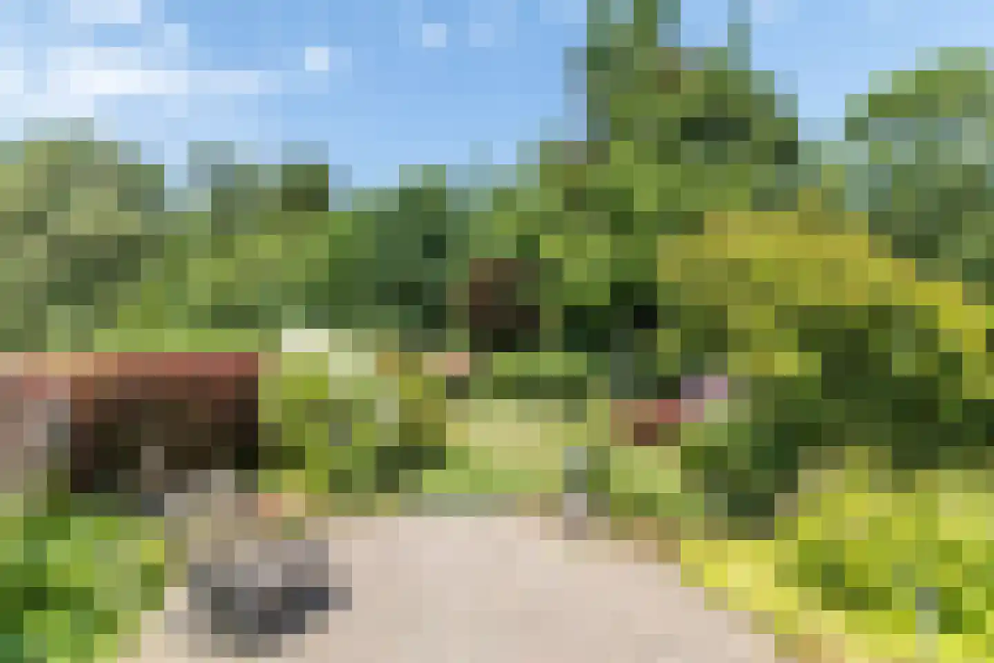 Hellebroek 89 Nuth thumbnail 28