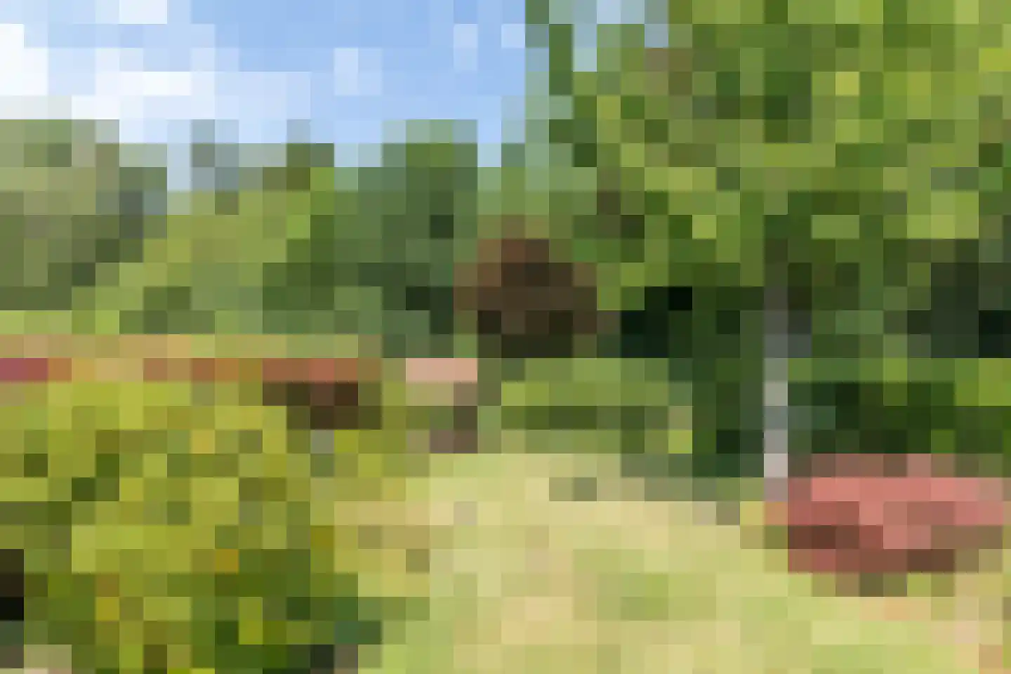 Hellebroek 89 Nuth thumbnail 29