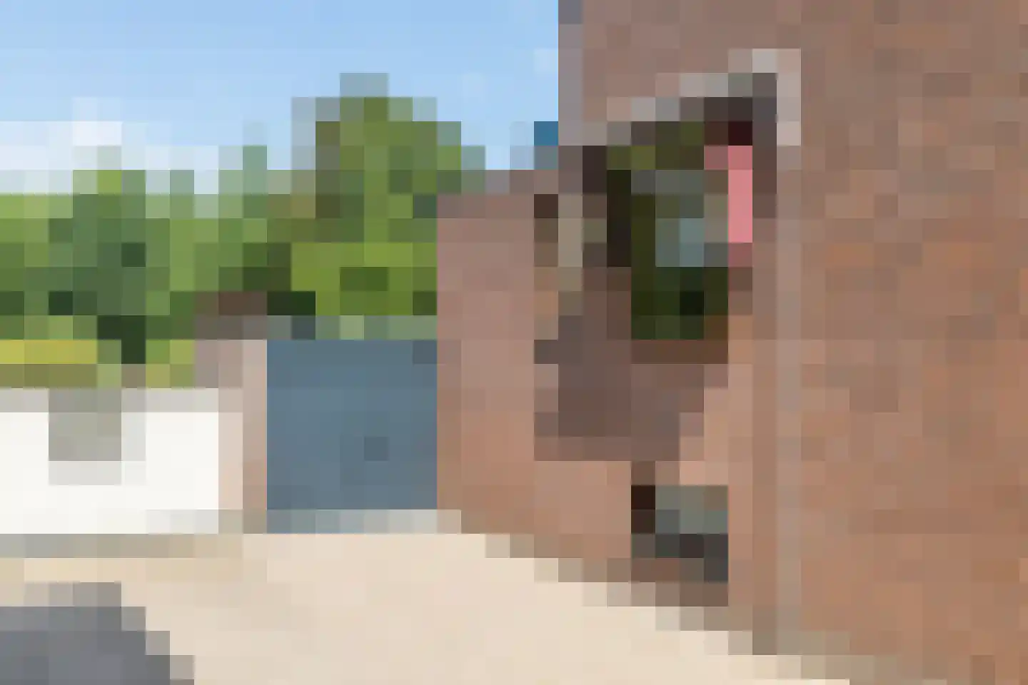 Hellebroek 89 Nuth thumbnail 34