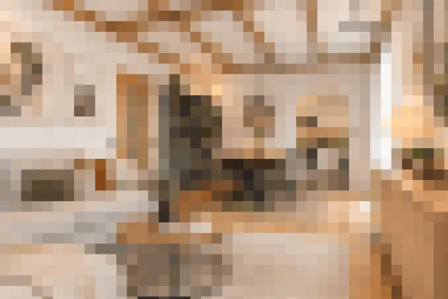 Hellebroekerweg 42 Wijnandsrade thumbnail 5