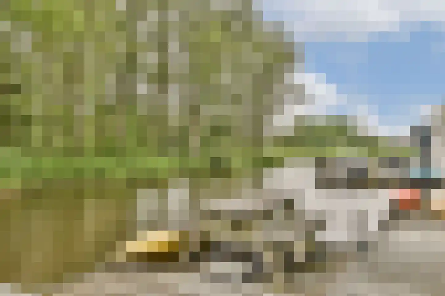 Hellegatspolder 6 Sassenheim thumbnail 11